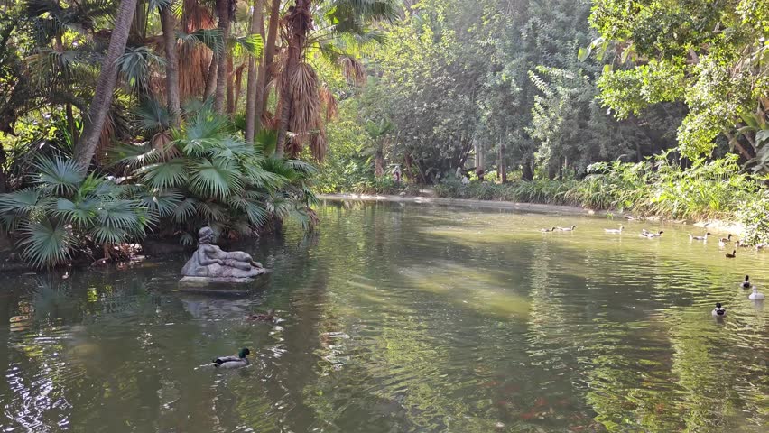 the duck lake, located in the beautiful Hamma botanical garden. Algiers. Algeria	