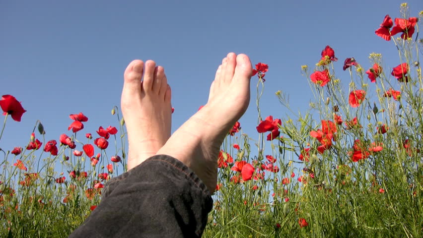 Clear, sunny weather. On poppy field lies a serene man and stretches his legs.