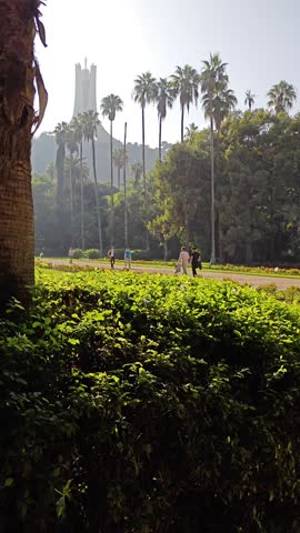 the beauty of the Hamma botanical garden, with the Martyr