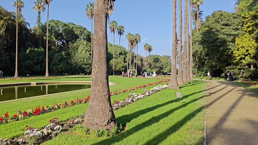 the beauty of the Hamma botanical garden, with the Martyr