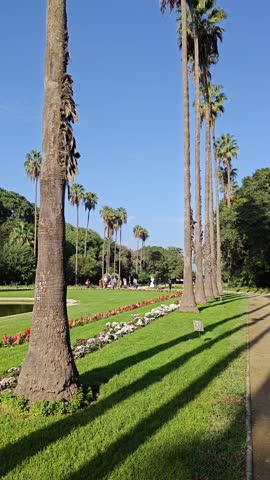 the beauty of the Hamma botanical garden, with the Martyr