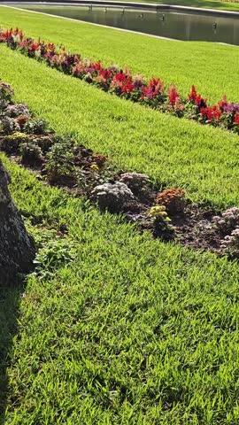 the beauty of the Hamma botanical garden, with the Martyr