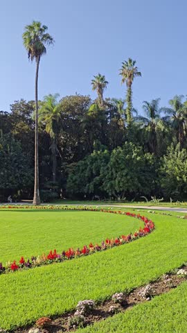 the beauty of the Hamma botanical garden, with the Martyr