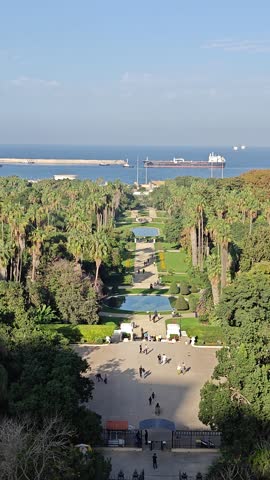Panoramic view of the beautiful Hamma Botanical Garden. Algiers. Algeria