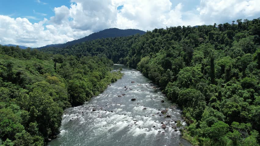 Spectacular cinematic aerial footage of Tully Queensland Australia