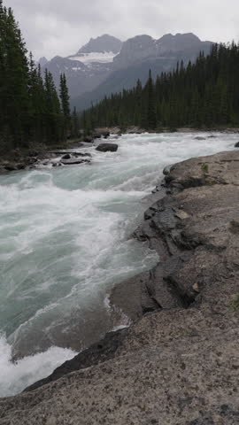 A rushing river flows over rocks surrounded by evergreen trees at Sunwapta Falls, Canada