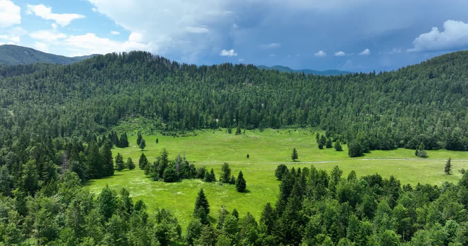 Forested hills and green field in rural cloudy Croatia, wide drone pan