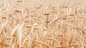 Dynamic growth charts and graph against of ripe wheat fields symbolize agricultural expansion, export growth, and profit increase. Ideal for agricultural business, financial, and marketing projects. - Powered by Shutterstock - Get 15% off with code: PIKWIZARD15