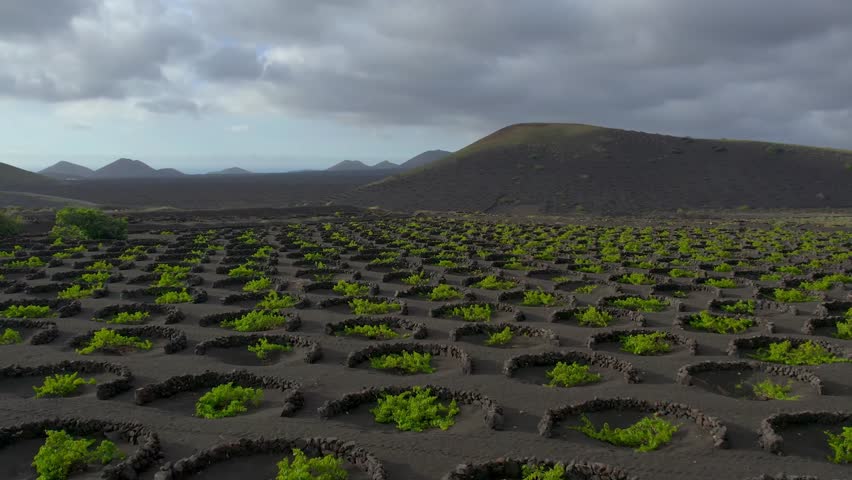 Aerial drone view of mountain sea and volcanoes in Lanzarote, Canary Islands, Spain