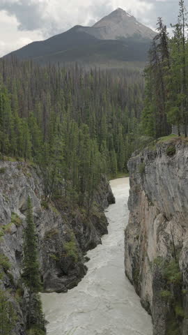 A breathtaking view of Sunwapta Falls surrounded by dense pine forests, Canada