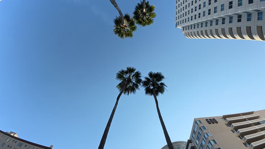 View up towards the sky while walking on a nice day in Long Beach, California