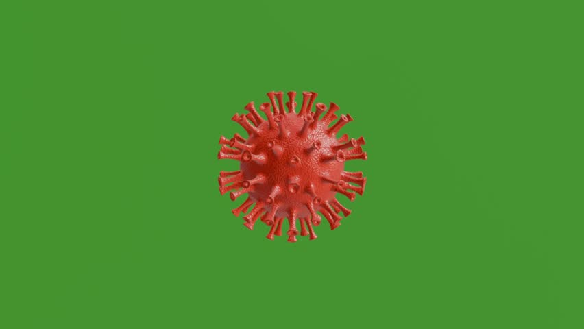 Shutterstock Video