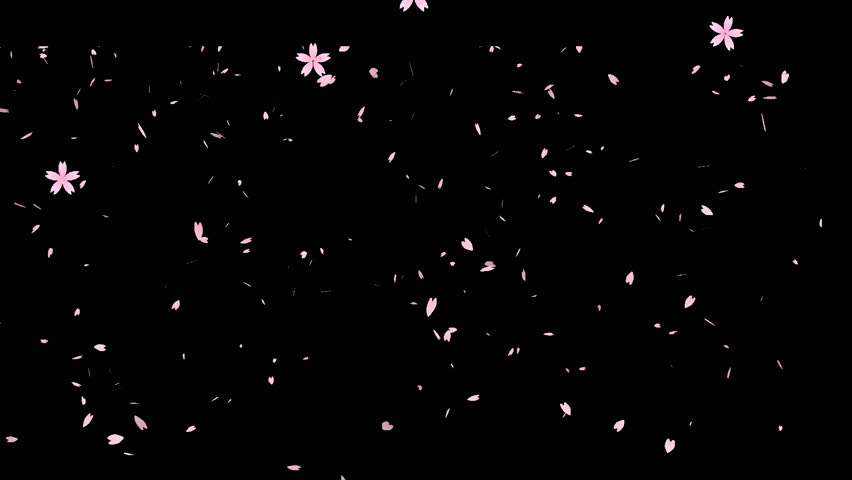 Japanese style falling cherry blossoms 