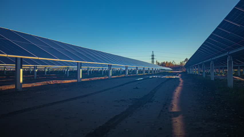 Solar panels in a field tilt to follow the sun, highlighting renewable energy in action