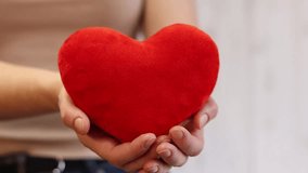 Toy heart in girl's hands. Plush soft heart in woman's hands, close-up. Valentine's Day gift, symbol of love. Emotions and state of mind. Heart as a symbol of love. Toy red soft heart - Powered by Shutterstock - Get 15% off with code: PIKWIZARD15