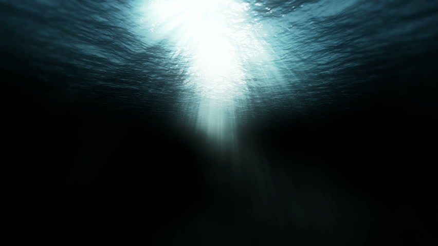 Underwater scene, An underwater scene HD stock footage