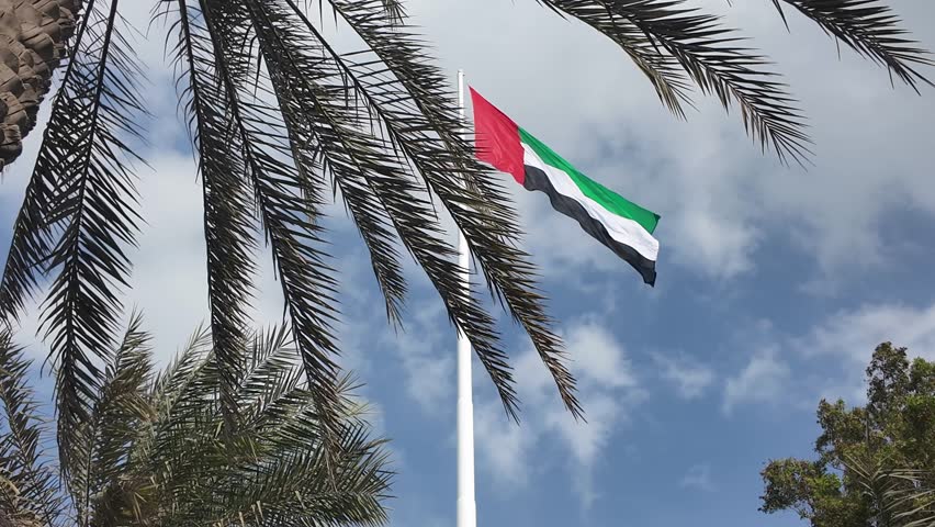UAE flag waving in the cloudy sky between palm trees, national symbol of UAE. High quality 4k footage.