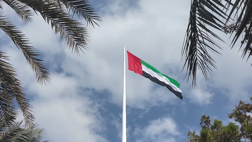 UAE flag waving in the cloudy sky between palm trees, national symbol of UAE. High quality 4k footage.