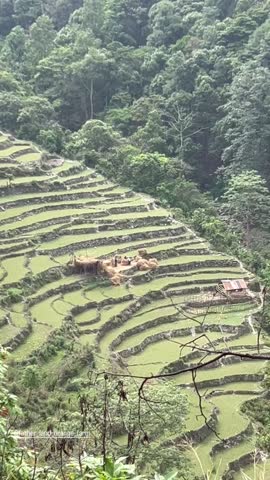 Terrace farming in the area near khaukhola near Pokhara.