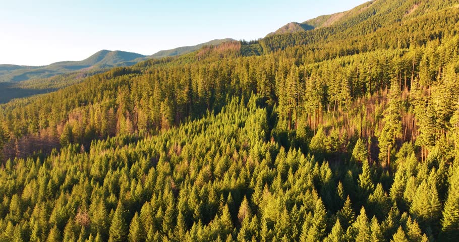 Willamette National Forest Oregon Aerial Drone Views At Sunset