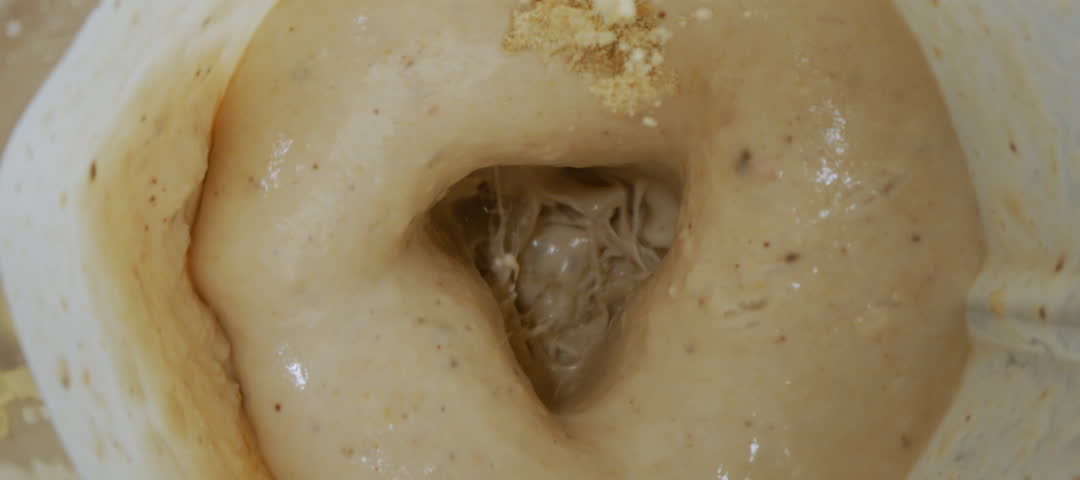 Super slow-motion shot of serving protein powder into the blender. Process of delicious making milk smoothie