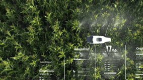 Drone spraying fertilizer on lush green vegetable plants, Advanced agriculture technology, Smart farm automation. - Powered by Shutterstock - Get 15% off with code: PIKWIZARD15