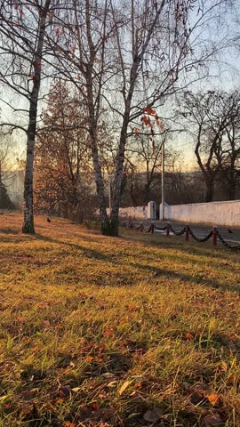 Sunset drones glide through autumn forest near trees and park trails.