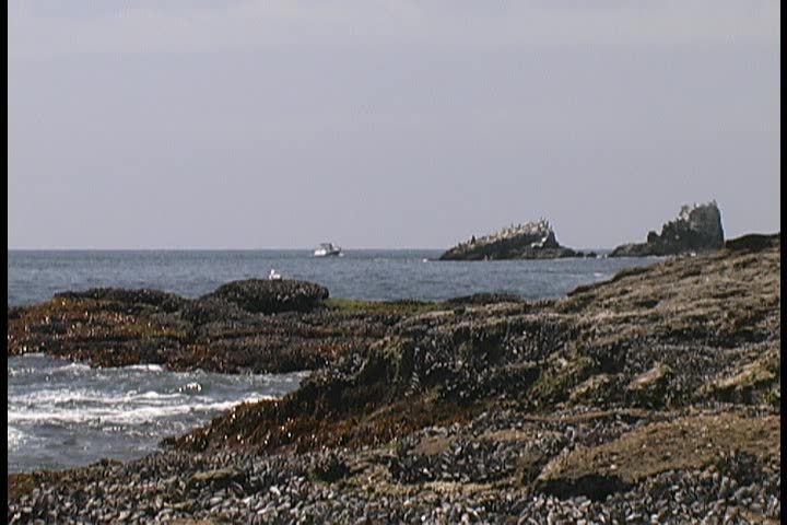 Boat in the distance