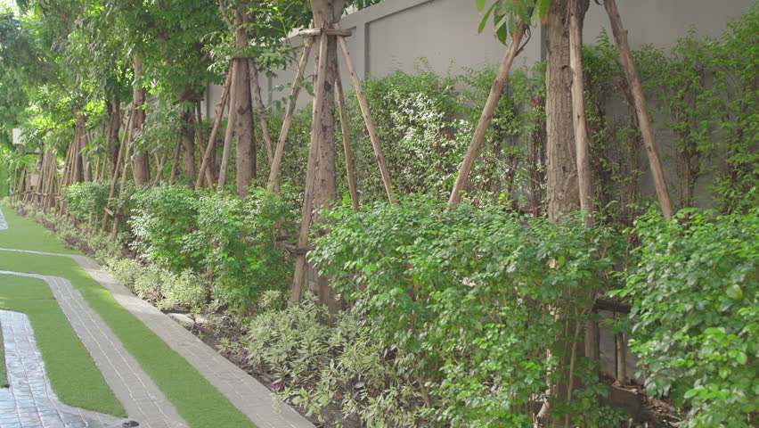 Modern staircase walkway in condominium