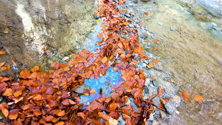 4K Arrako Waterfall in the Belagua Valley, Navarra - Impressive Turquoise Waterfall Surrounded by Autumn Forest with Golden Leaves, Moss Covered Rocks and a Natural Mountain Landscape