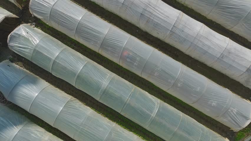 Aerial Video Overgrown Greenhouses in a Rural Setting Captured Aerially