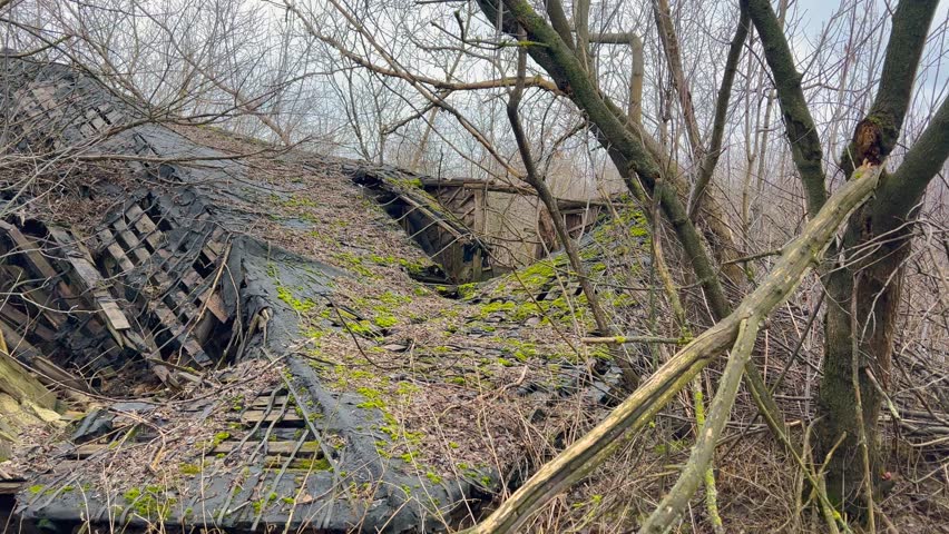 An abandoned, dilapidated house surrounded by leafless trees and overgrown branches. The structure appears crumbling, with a damaged roof and walls, conveying a sense of decay and neglect.