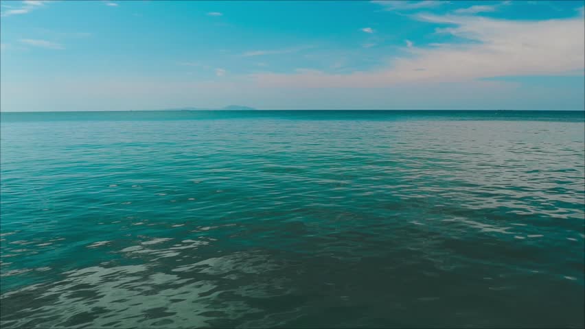 Shutterstock Video