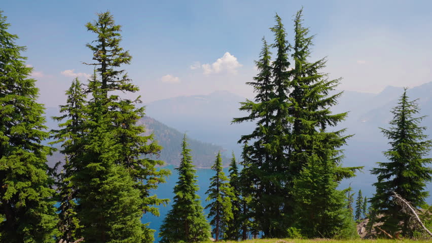 Crater Lake’s deep blue waters shimmer under the summer sun, surrounded by lush woodlands, creating a breathtaking and tranquil natural scene.