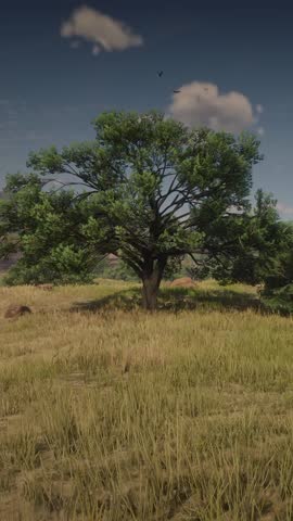 3D. USA. Oklahoma. Panorama of Hills with a Tree. Vertical Format