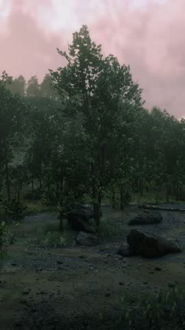 3D. USA. Oklahoma. Ouachita Mountains. Rain. Vertical Format