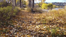 POV - Fall Season Nature Walk in the Park Along Beach. Autumn Leaves on Lake Shore Trail Path. Okanagan, British Columbia, Lake. Quiet Tranquil Nature Scene. Peaceful Calming Serene Outdoors. - Powered by Shutterstock - Get 15% off with code: PIKWIZARD15
