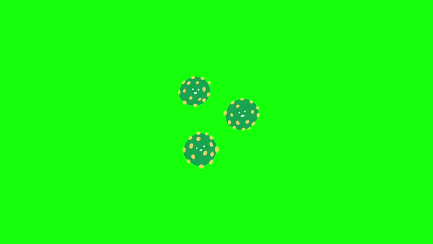 Shutterstock Video