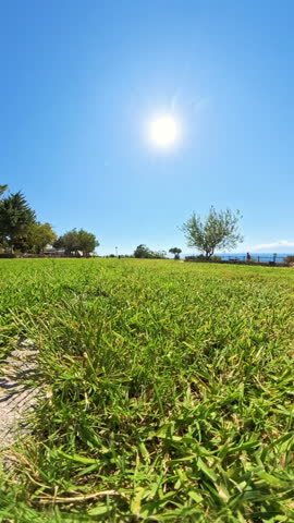 Vertical video. A low-angle shot of running quickly through the grass, with a bright blue sky and trees in the distance, capturing the sense of speed and open space in a sunny park setting.