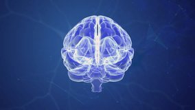 Electrical Signals in the Brains Neuron Network - Powered by Shutterstock - Get 15% off with code: PIKWIZARD15