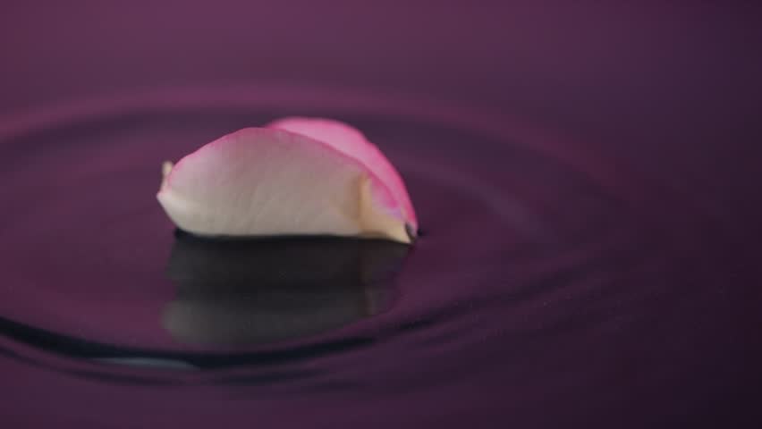 Fresh rose petals with water droplets fall onto a watery surface, scattering ripples. The serene scene suggests natural beauty and spa luxury.