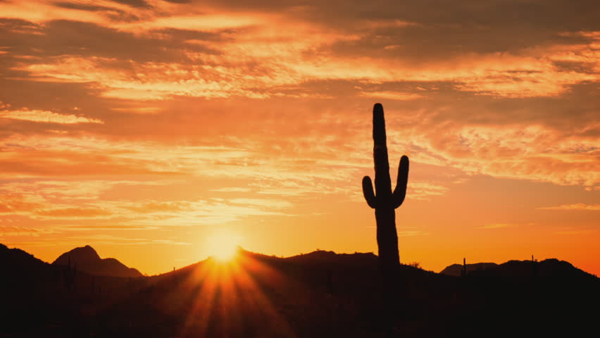 Lone Saguaro Cactus with Red Sky at Sunrise in Phoenix Arizona Timelapse