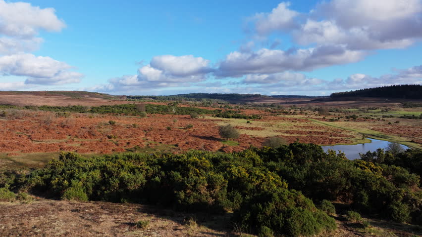 Aerial shot flying low over New Forest landscape in UK