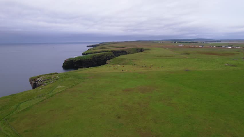 Scotland’s coastal cliffs, green fields, and distant rural houses, aerial view