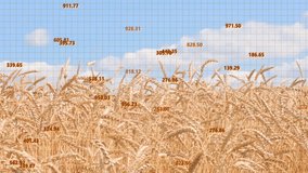 Dynamic growth charts overlaying golden wheat fields symbolize agricultural progress and market trends. Ideal for finance, agriculture, and business presentations showcasing growth. - Powered by Shutterstock - Get 15% off with code: PIKWIZARD15