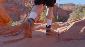 A dedicated traveler skillfully navigating the challenging rocky terrain while hiking in the stunning Zion National Park, showcasing the incredible beauty and awe of nature all around them - Powered by Shutterstock - Get 15% off with code: PIKWIZARD15