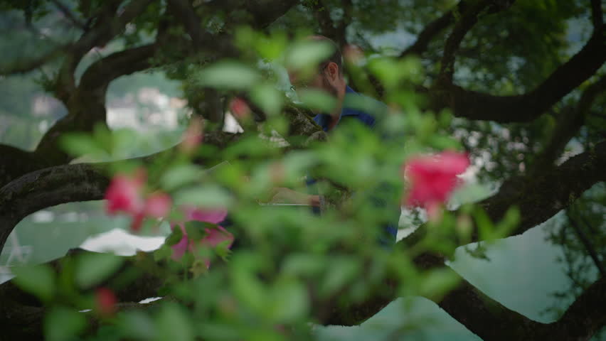 A person is diligently working on a laptop, comfortably seated in a tree among flowers