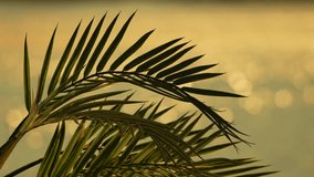 Palm Leaves Sunset Silhouette Tropical - Powered by Shutterstock - Get 15% off with code: PIKWIZARD15