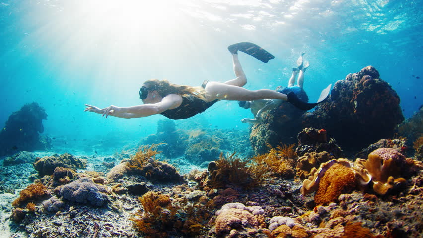 Sexy freediver dives on reef. Young female freediver swims underwater and explores the healthy coral reef on the island of Nusa Penida in Bali, Indonesia