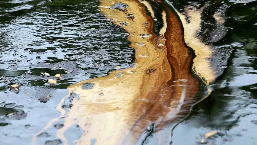 beach pollution with oil contamination environmental disaster coastal community water pollution HD